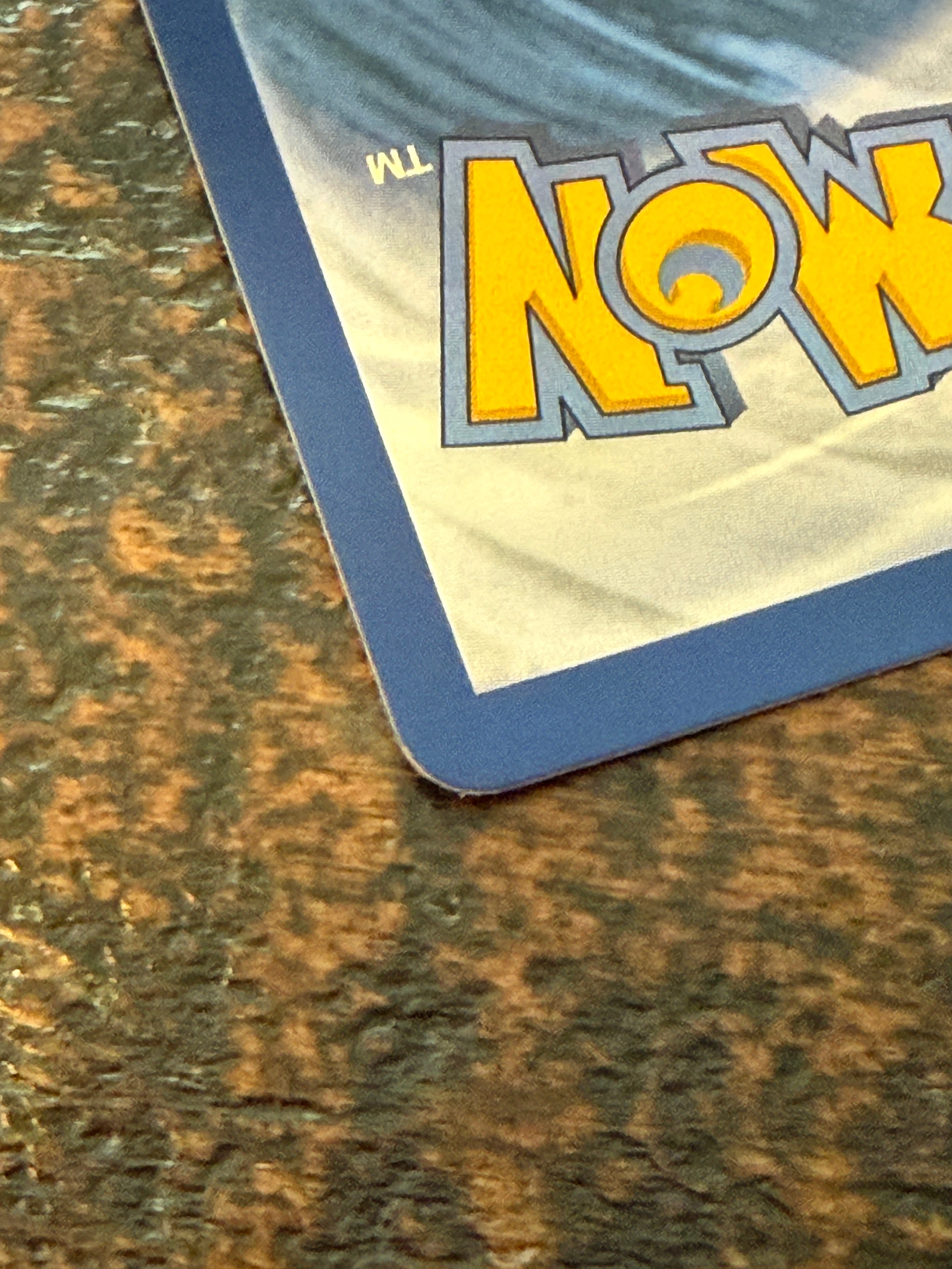 Pokemon TCG Ceruledge Phantasmal Flames MEP Prerelease Staff Promo 014 HOLO NM